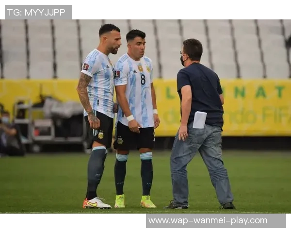 庞特普与弗鲁米的激烈对抗揭示巴西足球的魅力与竞争力 庞特普与弗鲁米的激烈对抗揭示巴西足球的魅力与竞争力