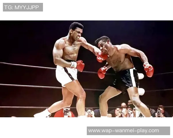 阿里与泰森谁更厉害探讨两位巨头的实力与影响力分析